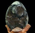 Septarian Dragon Egg Geode - Black Crystals #71982-1